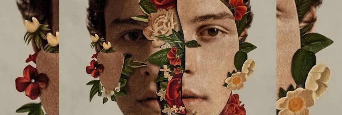 SHAWN MENDES ALCANZA EL PUESTO NÚMERO UNO EN VENTAS EN NUESTRO PAÍS